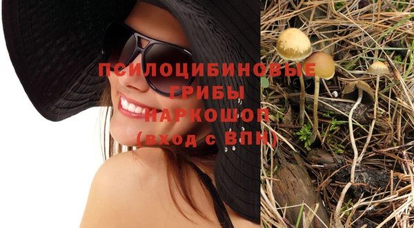 спиды Михайловка