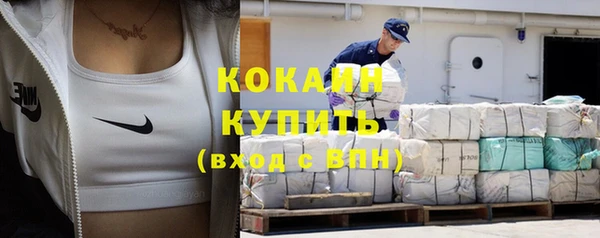 дживик Каменка