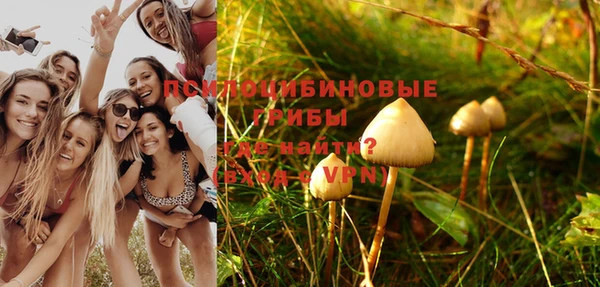 спиды Михайловка