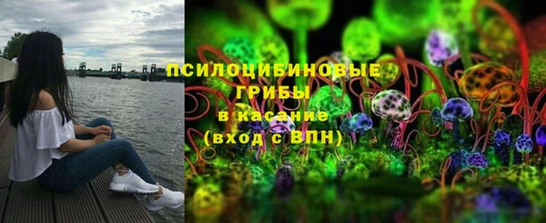 спайс Михайлов
